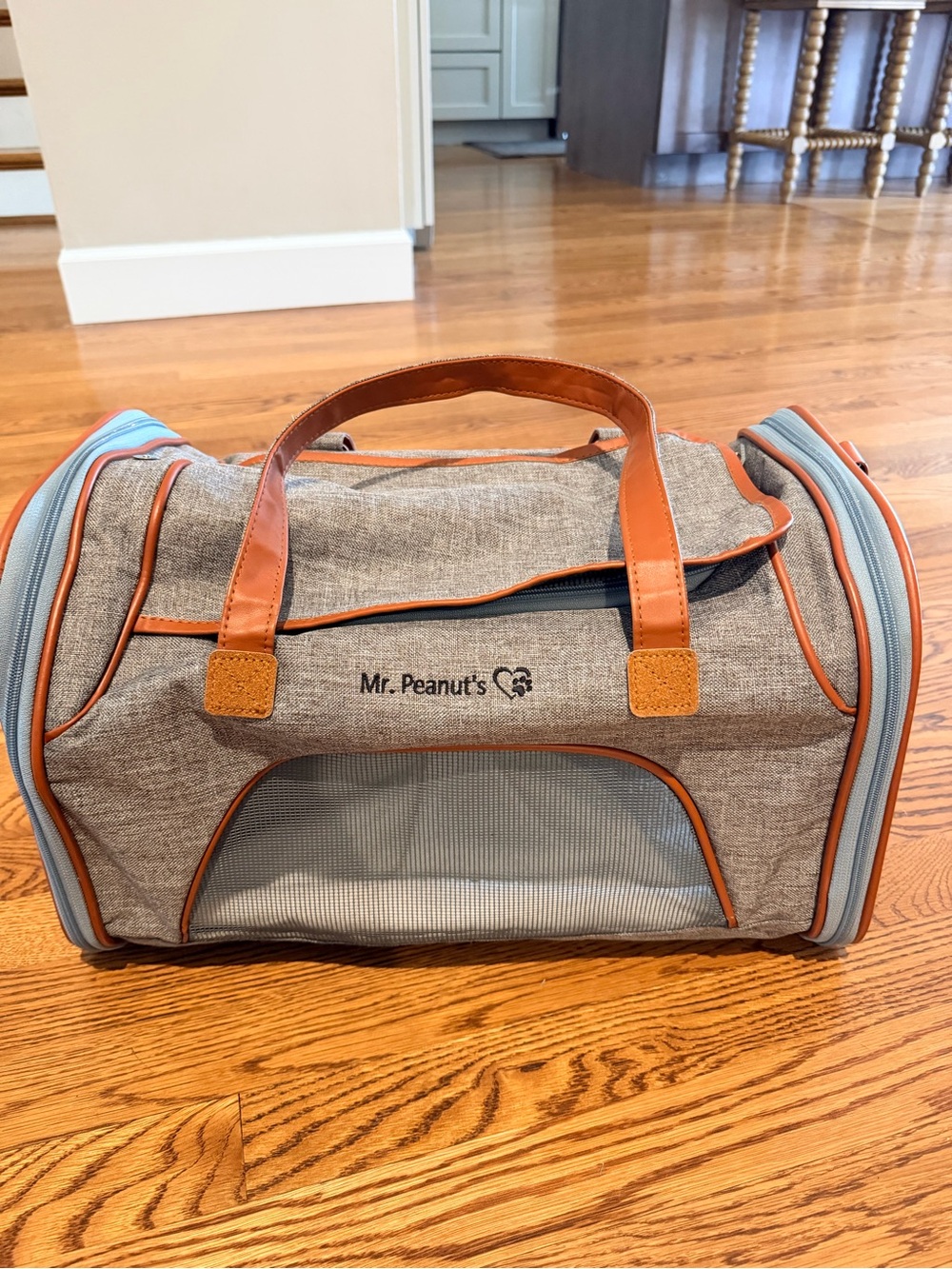 Gray and Tan Small Pet Carrier with Blue Trim